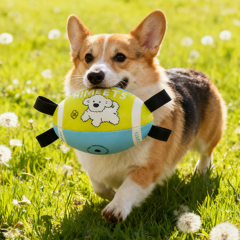 狗狗橄榄球玩具自嗨解闷耐咬狗足球柯基边牧拔河互动户外宠物玩具,宠物/宠物食品及用品,橡胶球/球形玩具,淘宝优惠券,粉丝福利购,淘宝优惠卷
