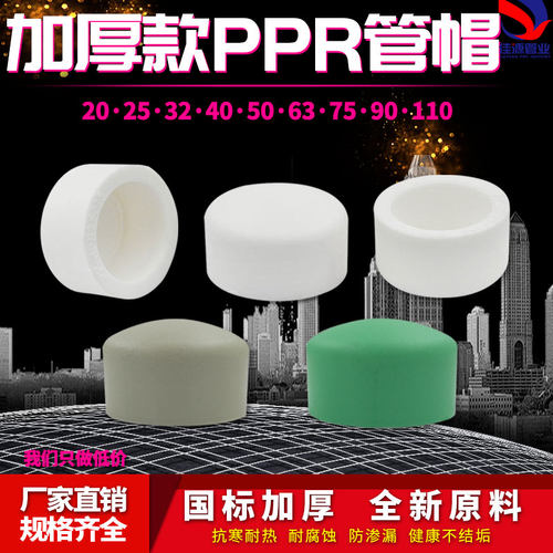 ppr管堵4分6分家用水管配件
