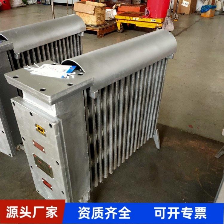 煤矿用RBE-1000/127隔爆兼增安型电热取暖器防爆取暖两用电暖器