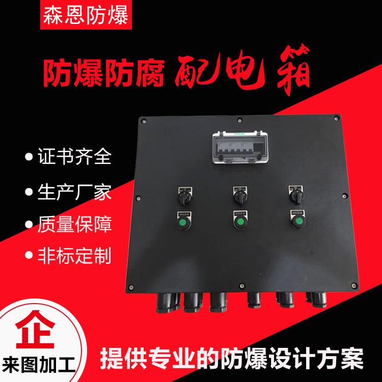 防水防腐防爆配电箱BXK8050照明动力插座检修箱三防配电箱户外WF2