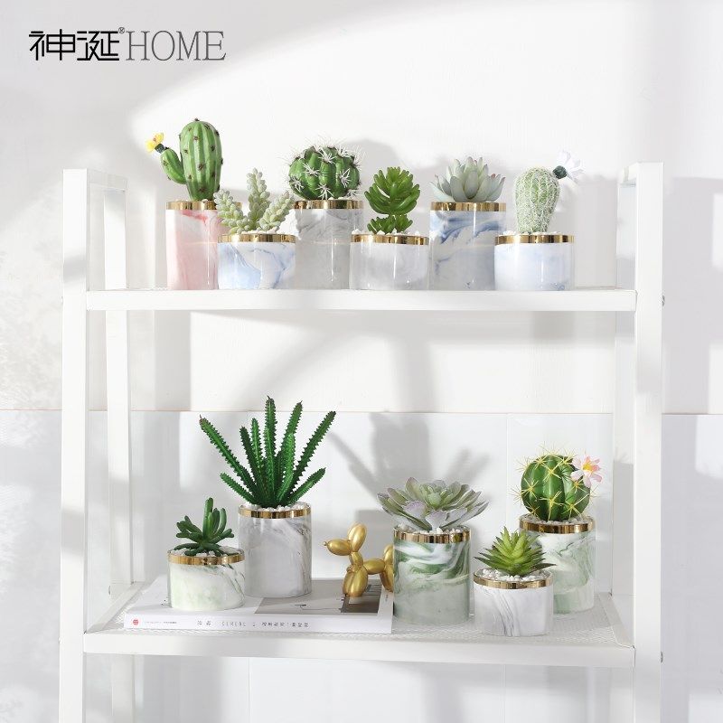 ins風北歐盆栽仿真多肉植物假花綠植裝飾客廳室內仙人掌盆景擺件在類目 家居飾品, 花瓶/花器/仿真花/仿真飾品, 仿真植物盆景中 - 來自Buy2taobao.com提供專業的淘寶代購服務
