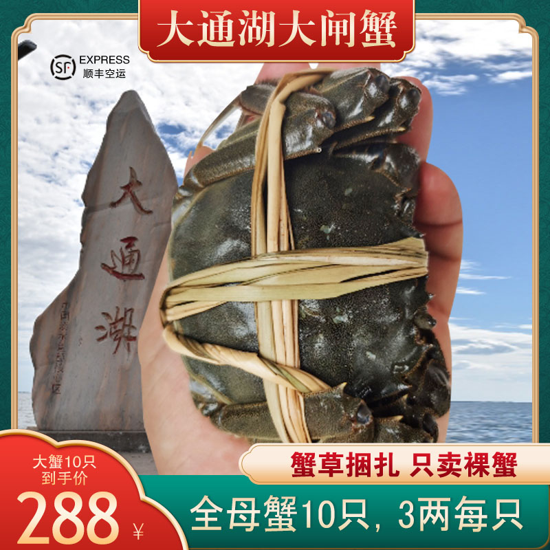 大闸蟹螃蟹海鲜礼盒装顺丰包邮