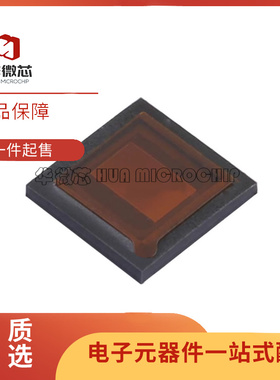 AR0144ATSM20XUEA0-DPBR IBGA-63封装 图像传感器芯片 原装正品