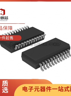 LTC4100EG LTC4100 SSOP24 智能电池充电器控制器芯片 原装正品