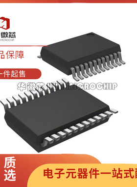 全新SI4704-D60-GUR 4730-C40-GU 4731 4734 D60GU C40GU SSOP24