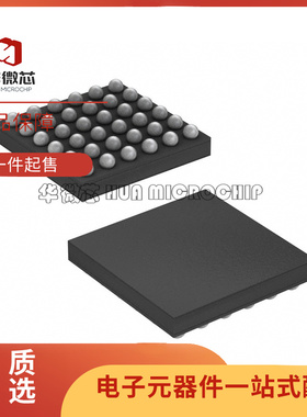 MAX86176ENX+T WLCSP-36 丝印MAX86176 模拟前端芯片 原装正品