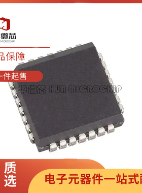 DS2165Q PLCC-28封装 DS2165 电子元器件芯片 全新原装正品