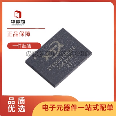XTSDG01GWSIGANAND存储芯片
