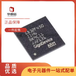 196 BAG 450II 程序儲存器IC芯片 原裝 MCU單片機 GD32F450IIH6
