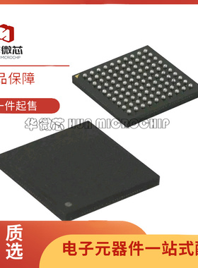 ATSAM3U4CA-CU【IC MCU 32BIT 256KB FLSH 100TFBGA】芯片