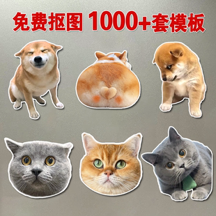 宠物冰箱贴定制照片小猫咪狗狗立体高级感治愈系念礼物磁铁贴定做