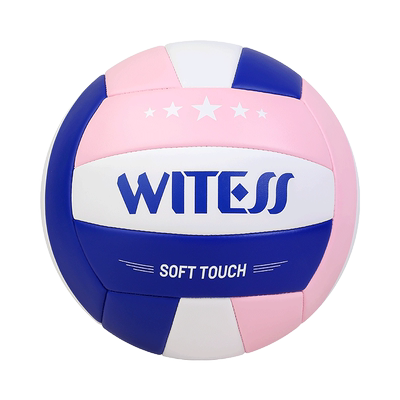 软皮排球目击者中考学生训练