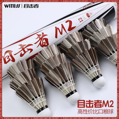 WITESS目击者羽毛球耐打12只装耐打不易烂黑色鸭毛球训练球专用M2