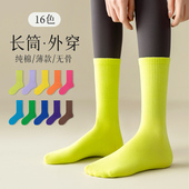 袜子女中筒袜配鲨鱼裤 长袜 运动彩色舞蹈外穿潮袜春秋纯棉无骨薄款