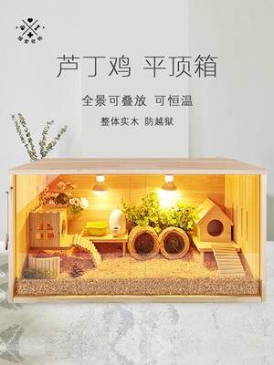 芦丁鸡饲养箱全套恒温箱一体化