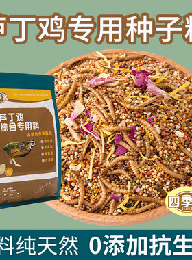 昂三只芦丁鸡全期营养零食种子粮