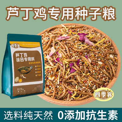 昂三只芦丁鸡全期营养零食种子粮