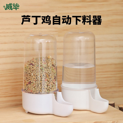 芦丁鸡喂食器喝水壶自动食盆食盒