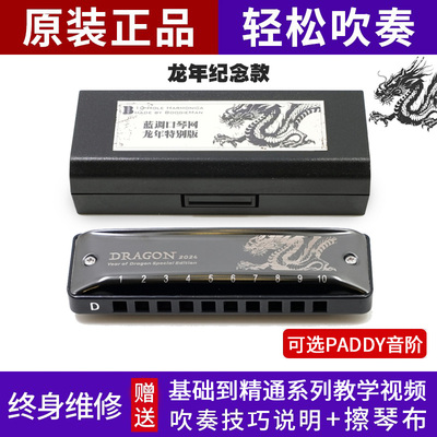 园园同款龙年纪念十孔布鲁斯口琴