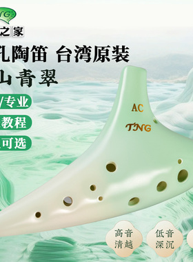 tng陶笛 12孔AC调初学者专业演奏型乐器小学生专用十二孔中音C调
