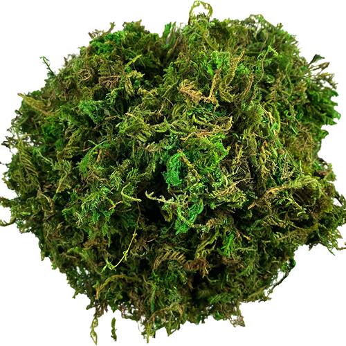 Artificial Moss Green for Potted Plant Orchid Potting Mix Pe