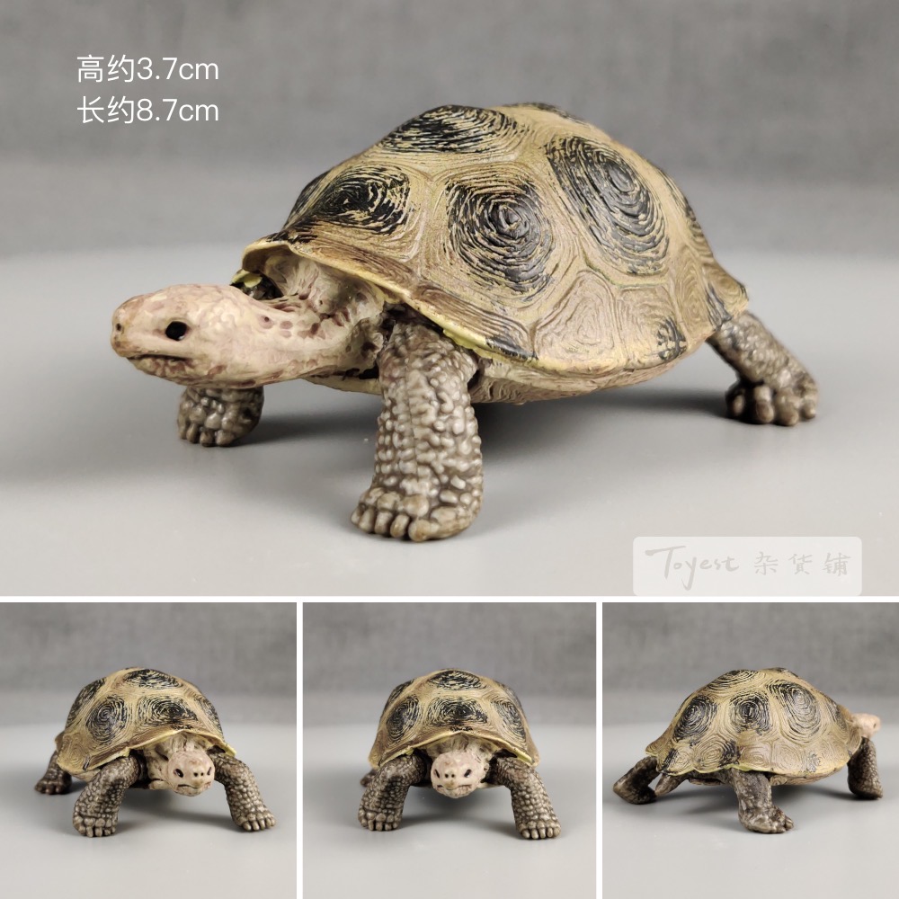 陆龟模型摆件 正版散货 仿真动物玩偶玩具象龟巨龟微景观饰品手办