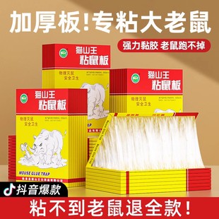 老鼠贴强力粘鼠板家用正品 超强力胶粘抓大老鼠夹扑捉灭鼠捕鼠神器