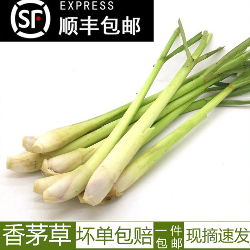 新鲜香茅草 泰国冬阴功汤料新鲜柠檬草香茅烤鱼调料香料500g