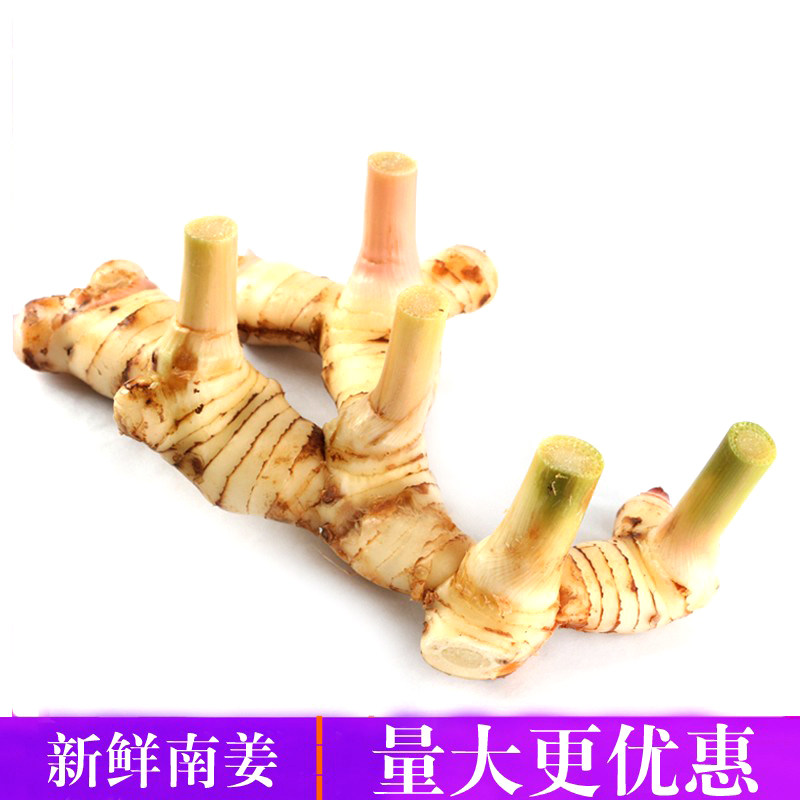 泰国南姜新鲜良姜山姜新鲜白皮南姜泰国冬阴功汤料香料农产品食用