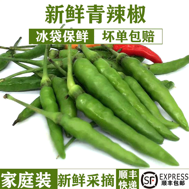 新鲜青辣椒非鸟眼小米辣图片