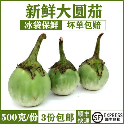 新鲜圆茄500g绿咖喱东南亚食材