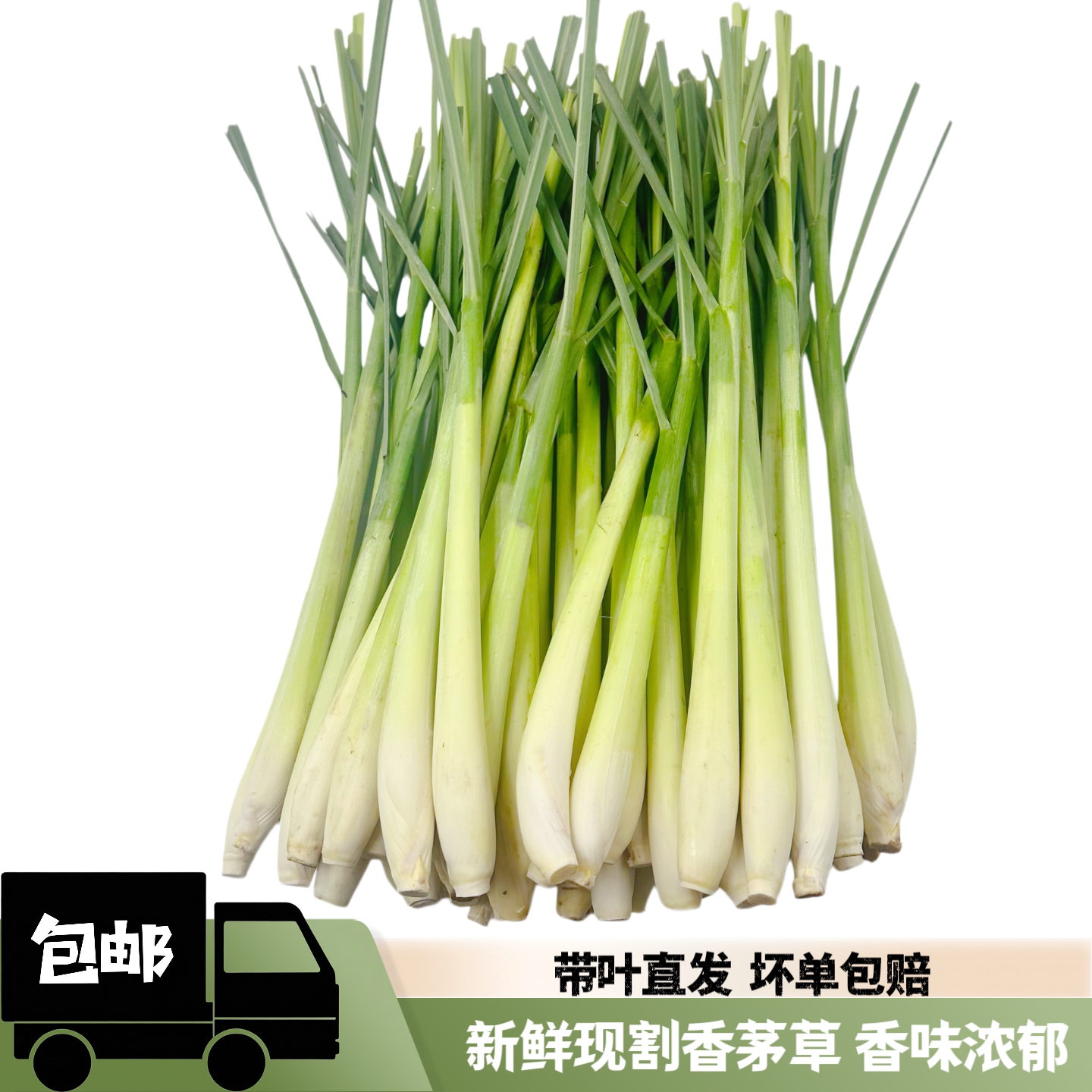 新鲜香茅粗种香茅草带叶浓郁香味图片