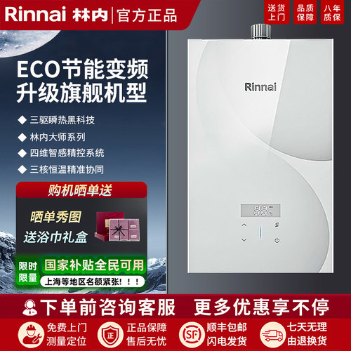 林内【小蛮腰系列】16升强排式