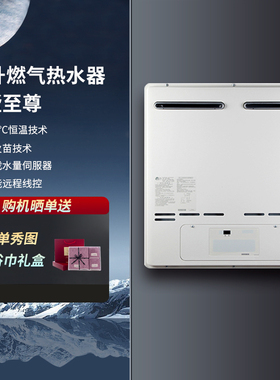 Rinnai/林内 REU-V5001MWC(K)-CH