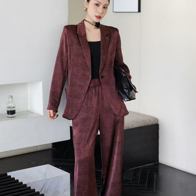 私人定制女士春装2025年新款韩版时尚纯色宽松气质百搭女士套装