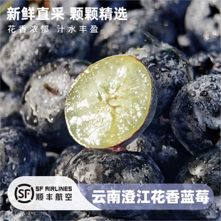 【真·25花香】顺丰空运云南澄江新鲜应季花香蓝莓脆甜多汁花香浓