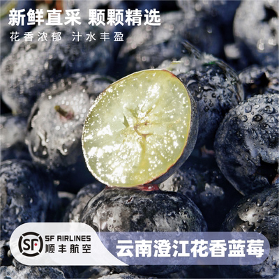 【真·25花香】顺丰空运云南澄江新鲜应季花香蓝莓脆甜多汁花香浓
