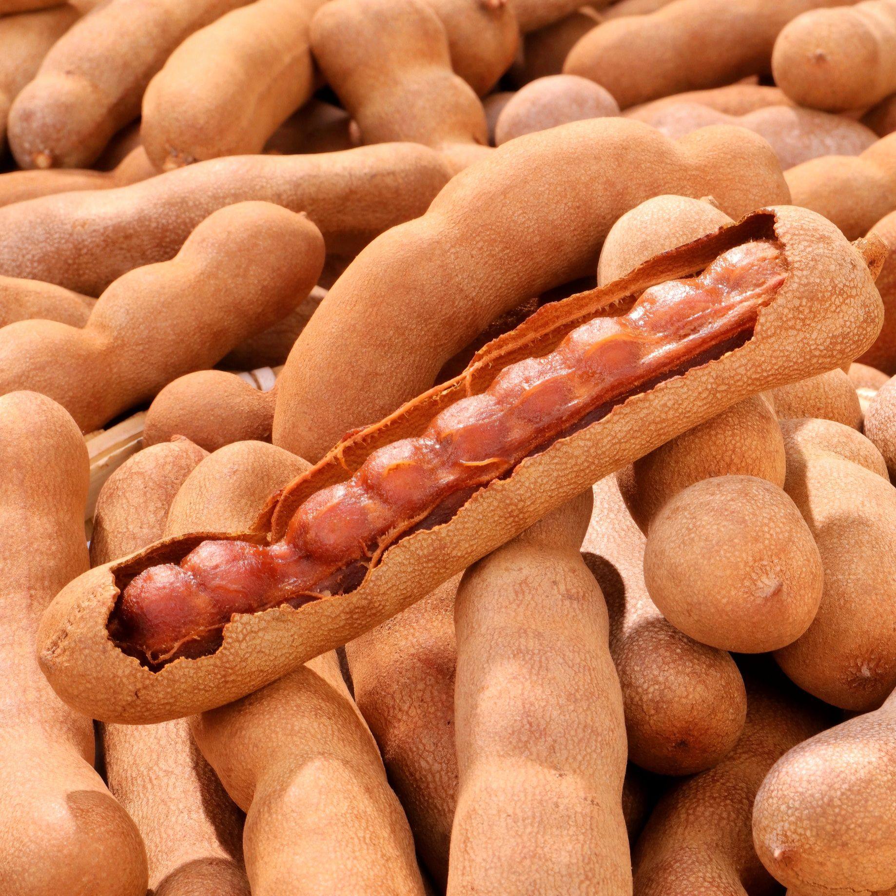 正宗云南特产新鲜甜酸角大果罗望子孕妇零食蜜饯果脯酸甜豆角水果