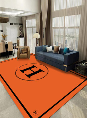 潮牌轻奢高级橙色地毯客厅直播间网红茶几毯家用房间卧室床边地垫