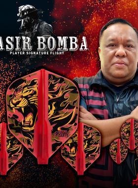 Fit Flight日本进口Nasir Bomba马来西亚选手镖翼 Shape小标准形