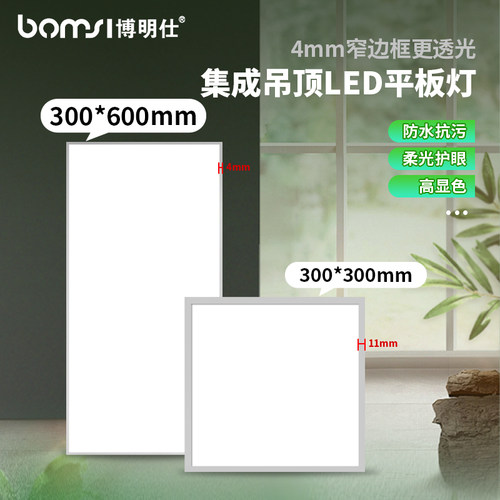 厨房卫浴30x60cm集成吊顶灯