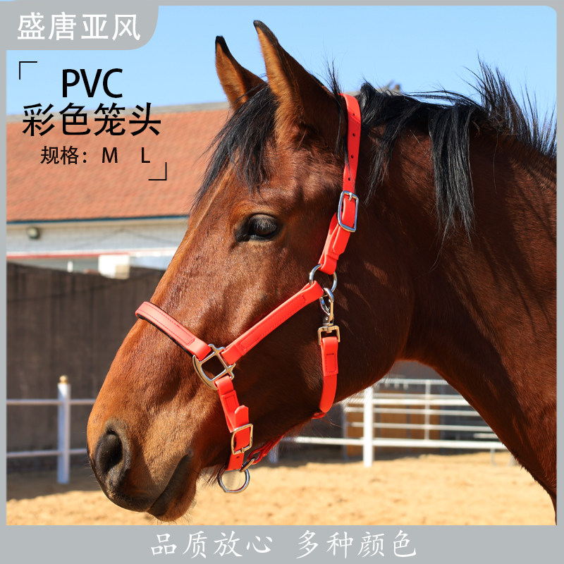 PVC彩色马术用品牵马笼头可调节耐磨大小矮马龙头