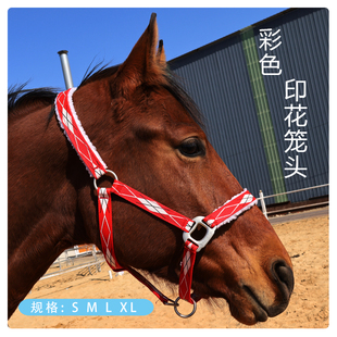 彩色印花牵马笼头马术用品马具可调节高端牵引笼头马龙头