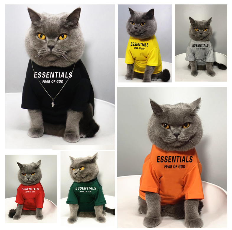 潮牌宠物狗衣服幼猫布偶猫衣服夏季薄纯棉透气T恤猫咪衣服防掉毛