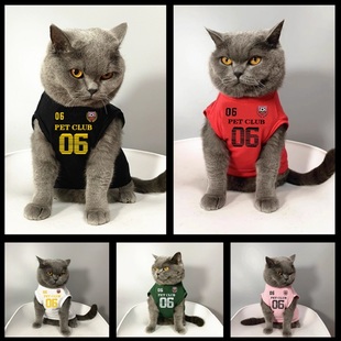 棉无袖 薄款 小猫宠物布偶猫英短蓝猫防掉毛 猫咪狗狗衣服夏秋季 美式