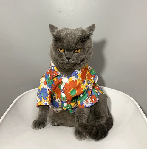 Pet Cat Barbarian маленькая щенка одежда для кошачья одежда лето тонкая анти -фар -рубашка солнце