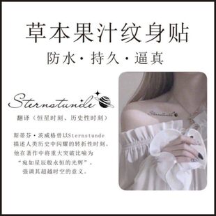 德语恒星时刻Sternstunde手臂锁骨小众个性草本果汁防水纹身贴
