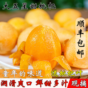 [顺丰送上门】云南昭通大五星枇杷新鲜水果鲜甜爽口甜琵琶5斤包邮