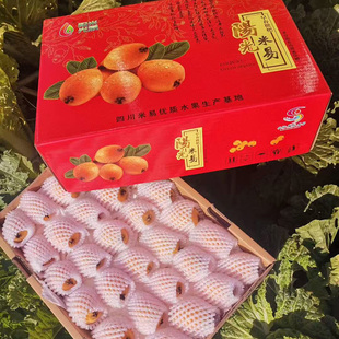 【礼盒装】正宗攀枝花米易甜枇杷新鲜水果 爆汁孕妇甜琵琶果4.5斤
