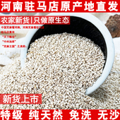 正宗驻马店白芝麻农家干净饱满生白芝麻2025年新 油麻500g 生
